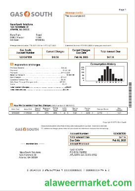 USA New York Gas South business utility bill template in Word and PDF formats